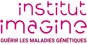 Imagine Institute